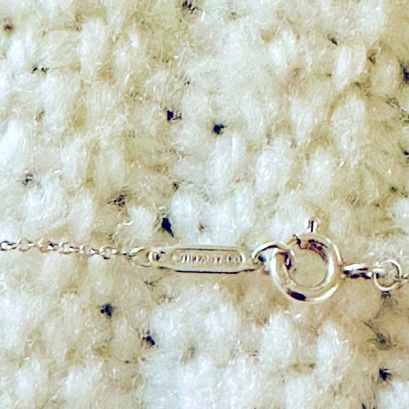 Authentic Tiffany & Co. Sterling Silver Apple Charm Necklace - Picture 5 of 5